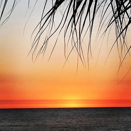 #502 Beach Place Condos - Nightly Rental St. Pete Beach Eksteriør billede